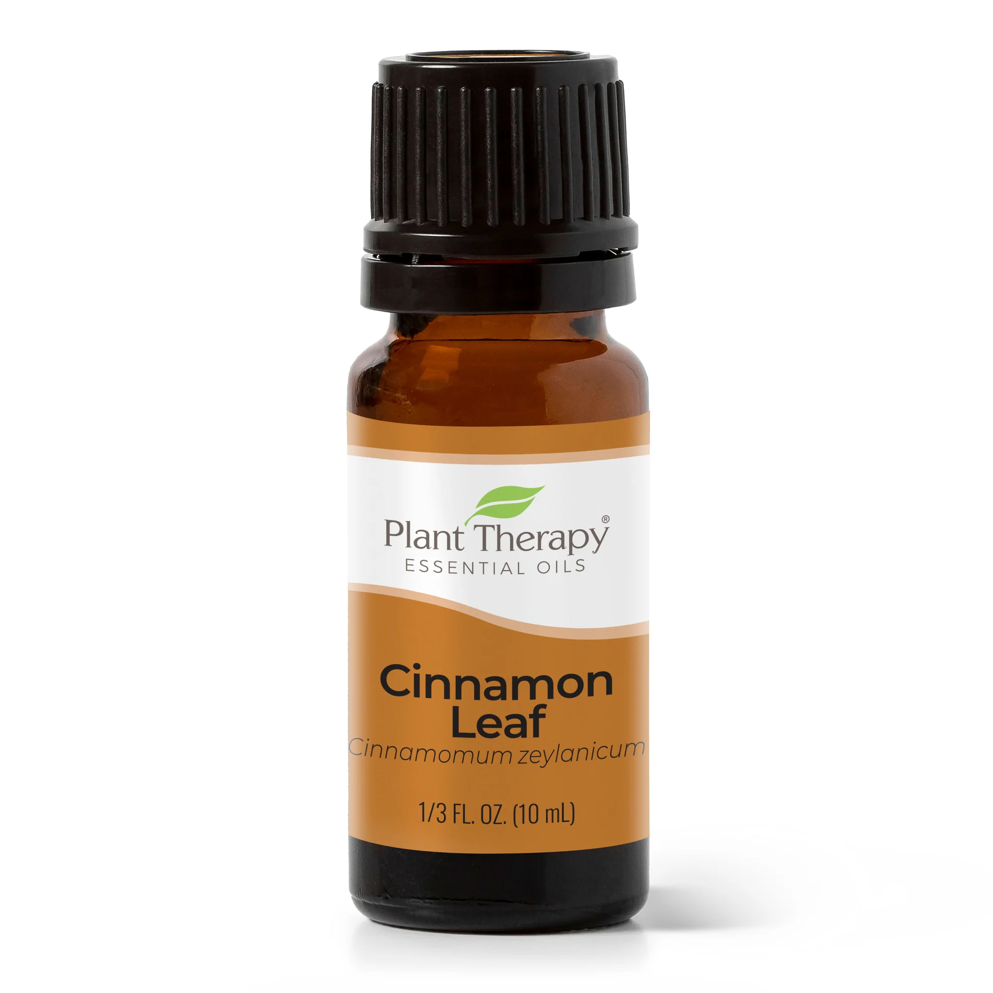 Plant Therapy - Cinnamon Leaf