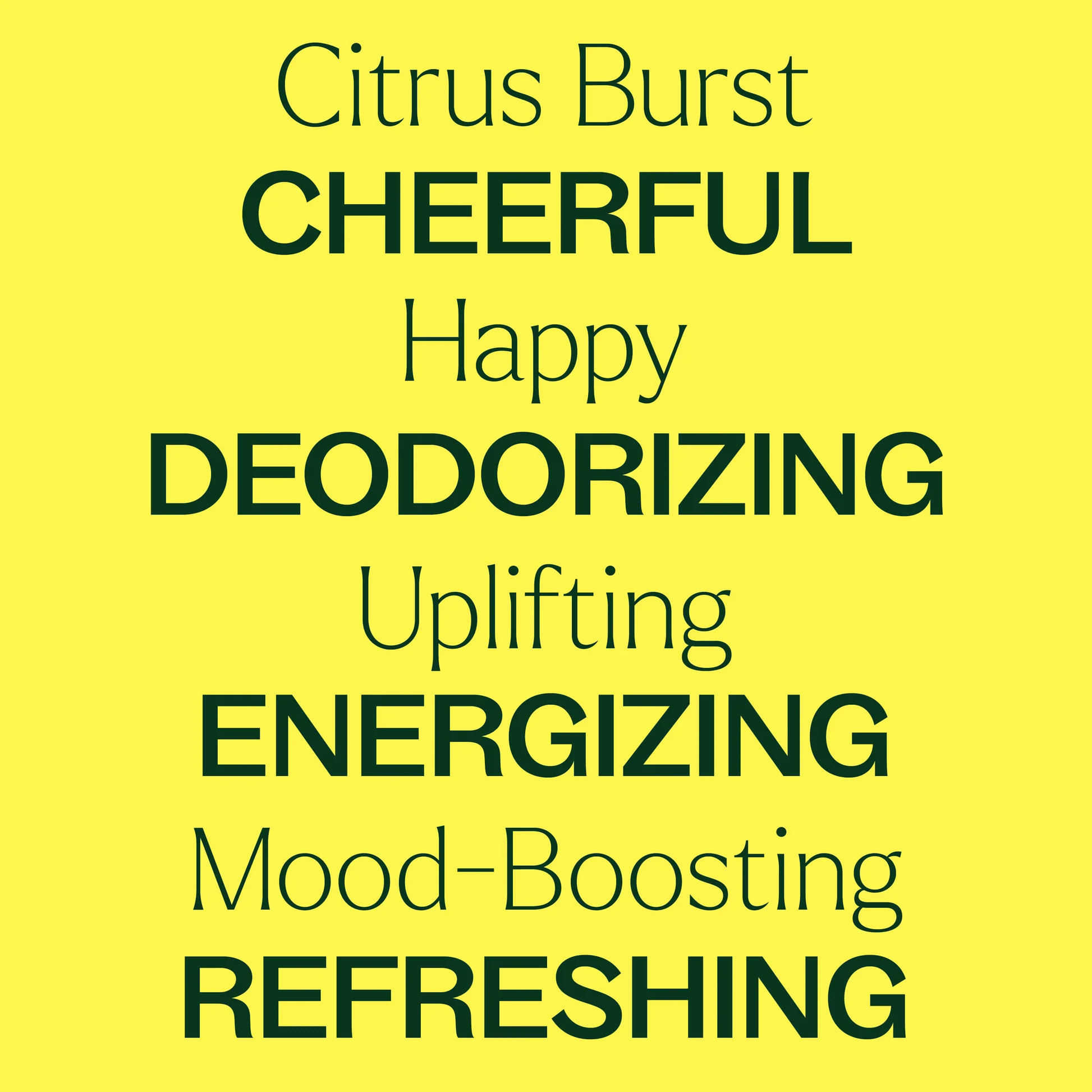 plant-therapy---citrus-burst-2.webp