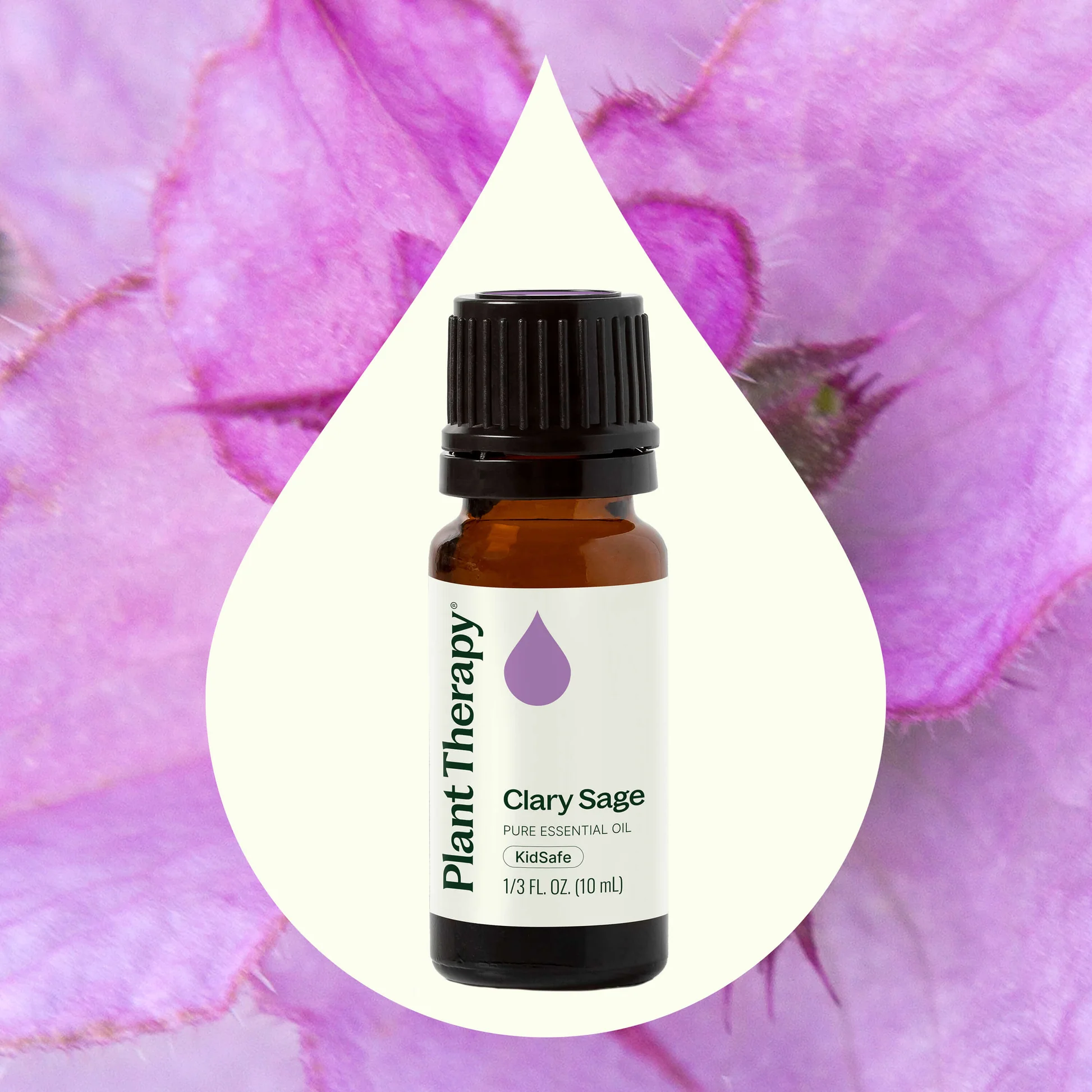 plant-therapy---clary-sage-2.webp