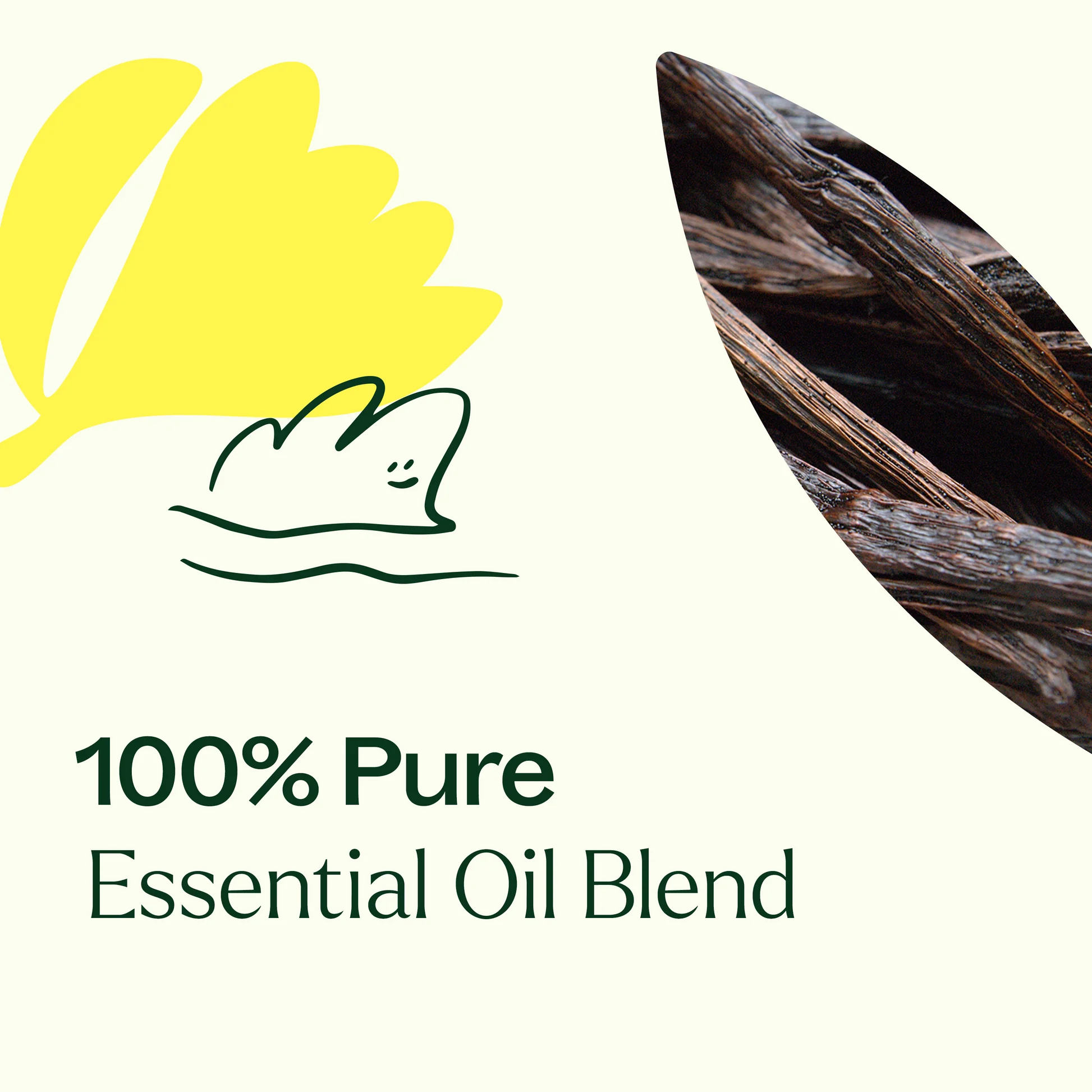 plant-therapy---love-vanilla-3.webp