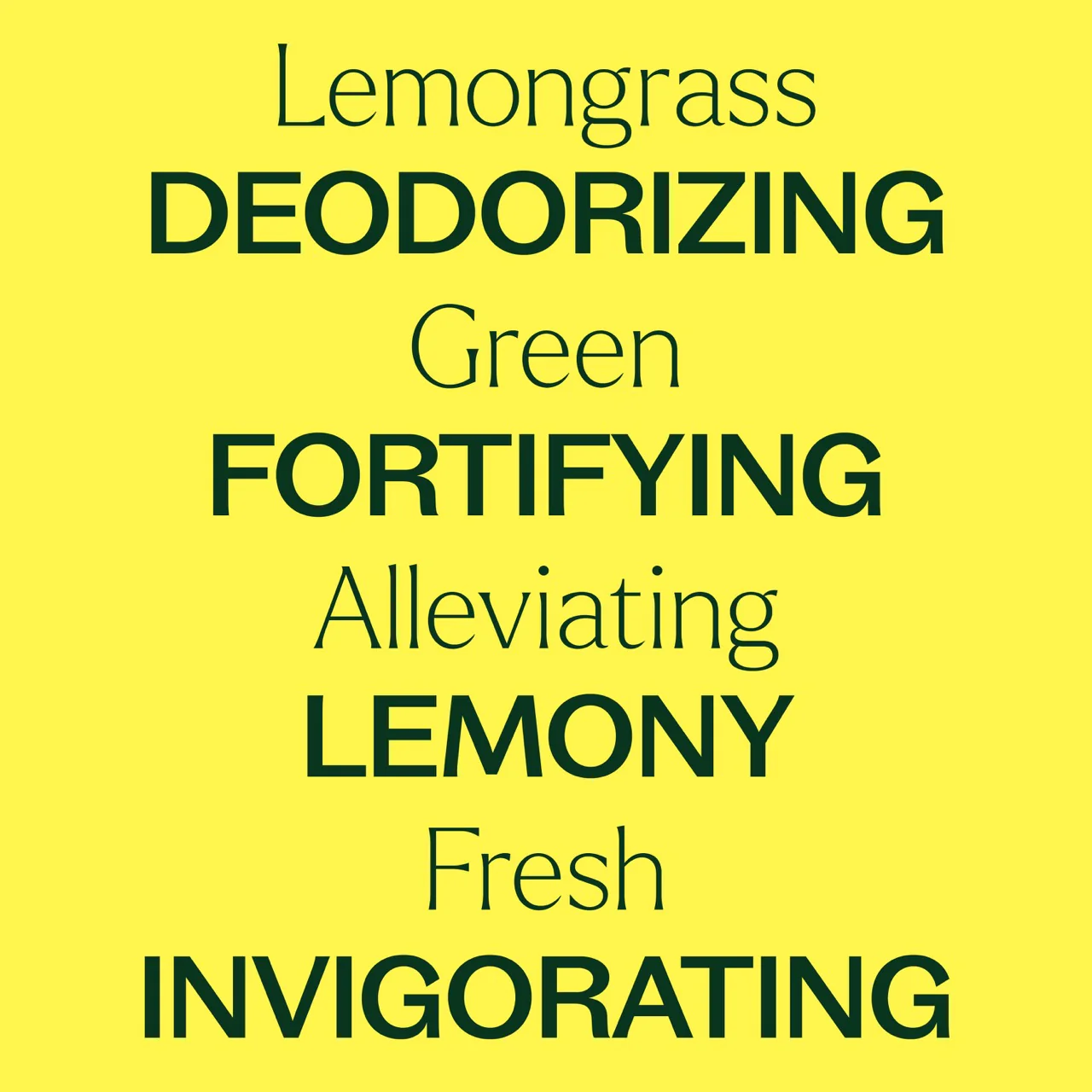 plant-therapy---lemongrass-4.webp