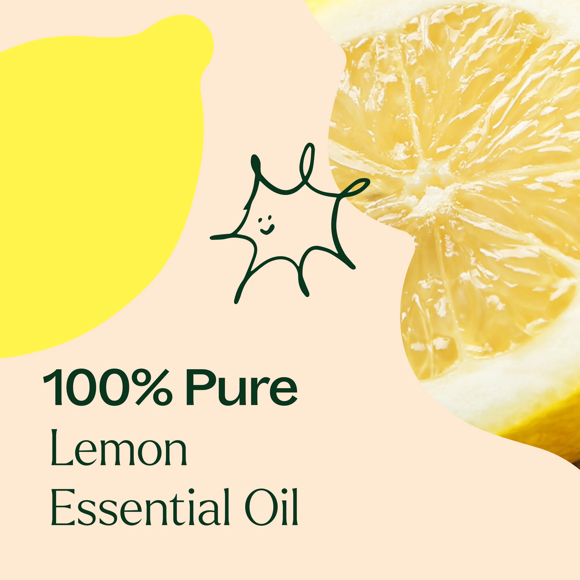 plant-therapy---lemon-6.webp