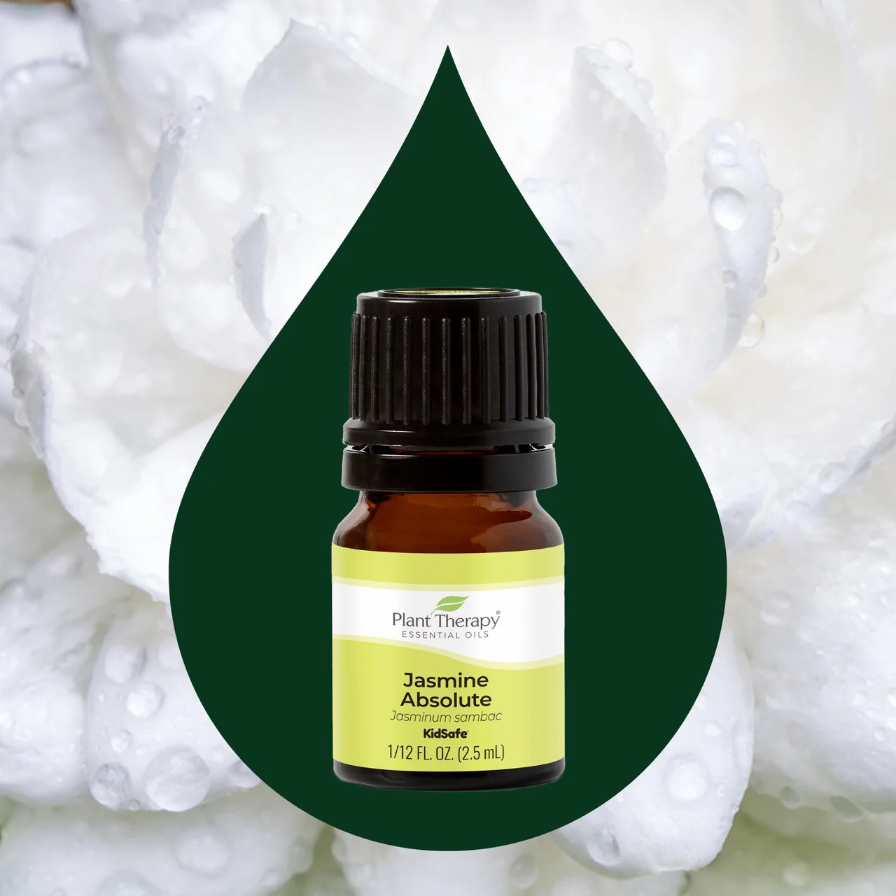 plant-therapy---jasmine-absolute-2.webp
