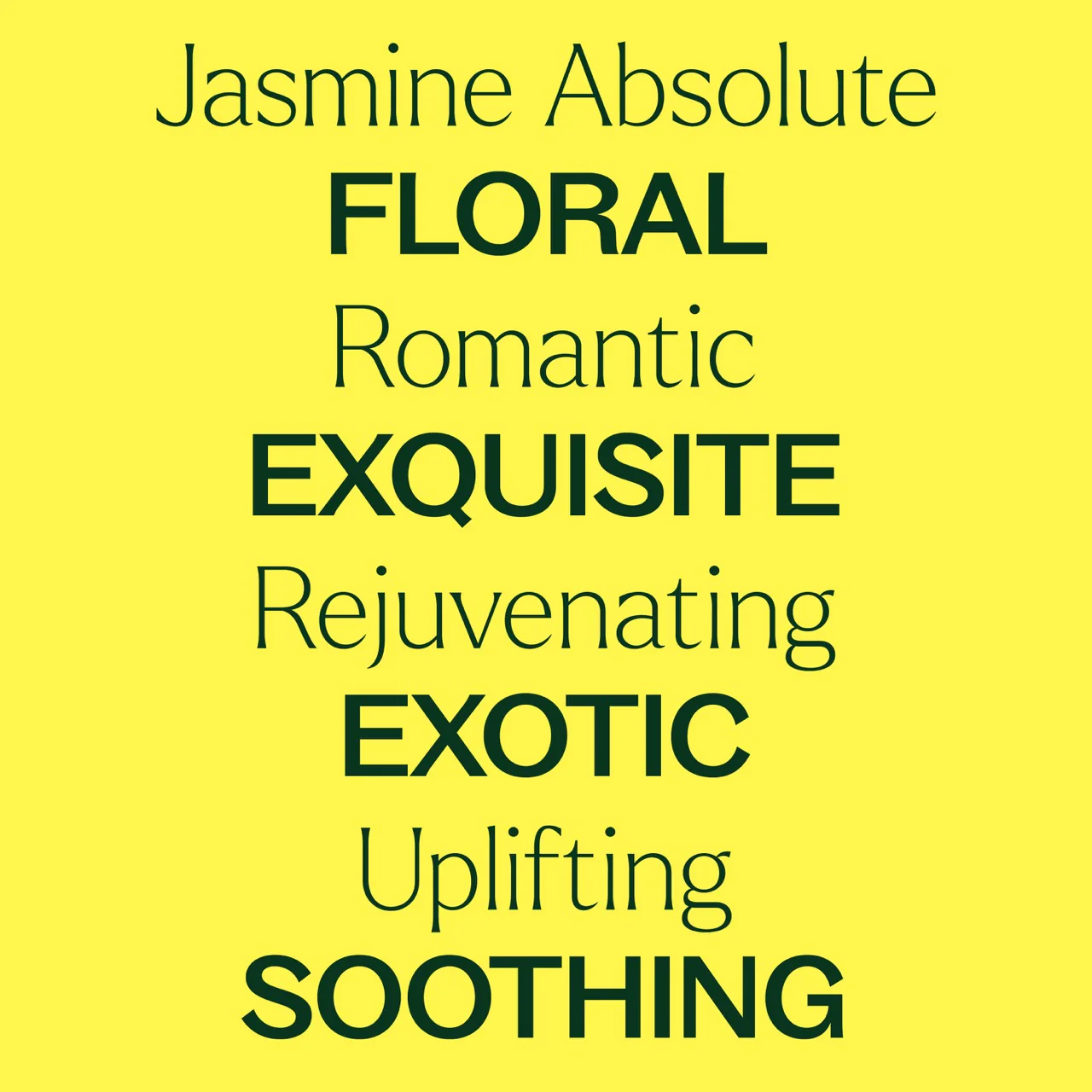 plant-therapy---jasmine-absolute-3.webp