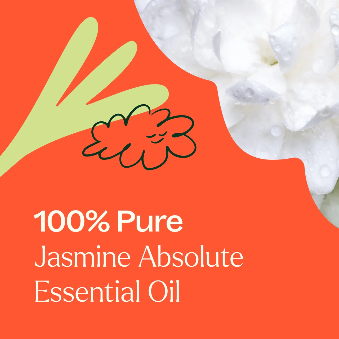 plant-therapy---jasmine-absolute-4.webp