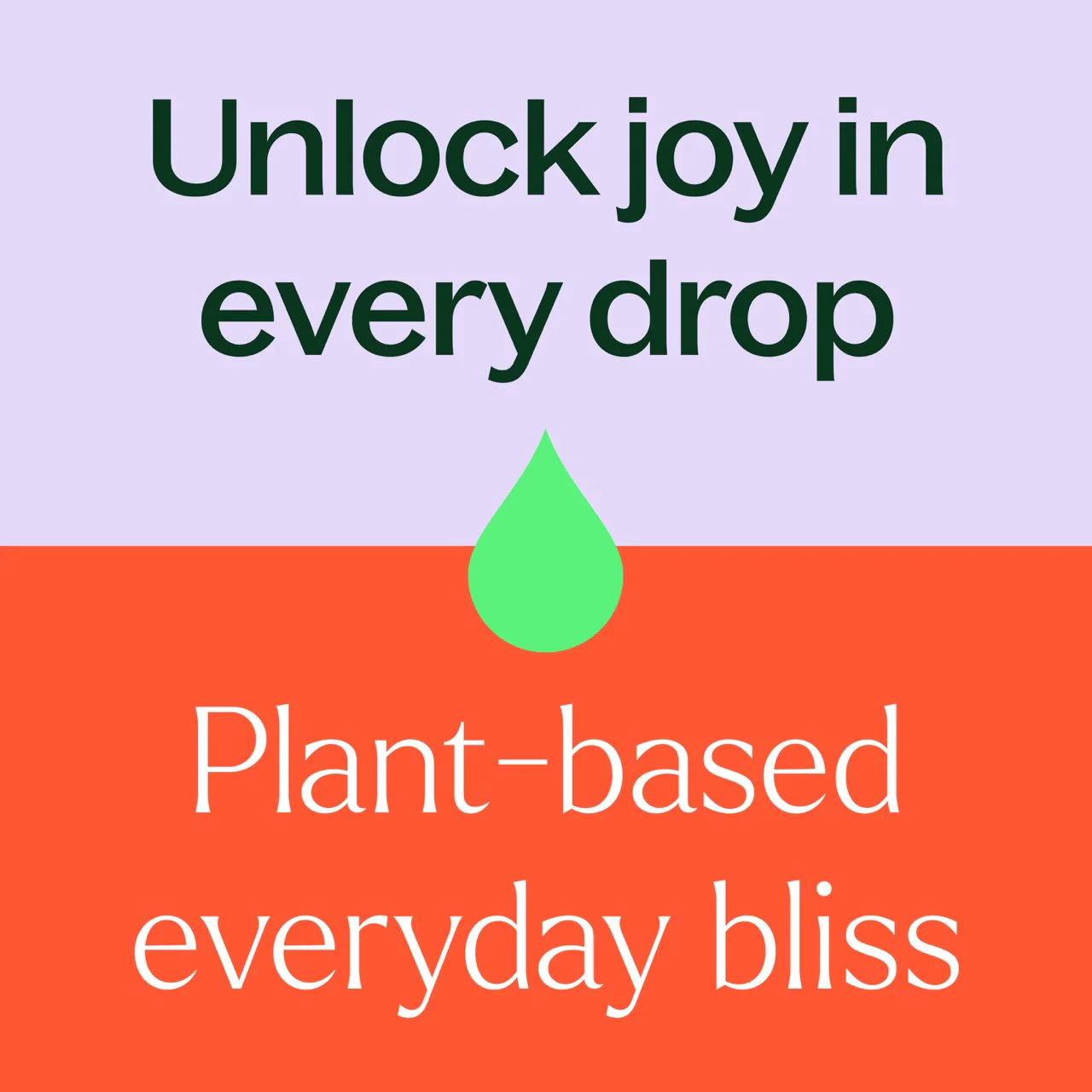 plant-therapy---jasmine-absolute-6.webp