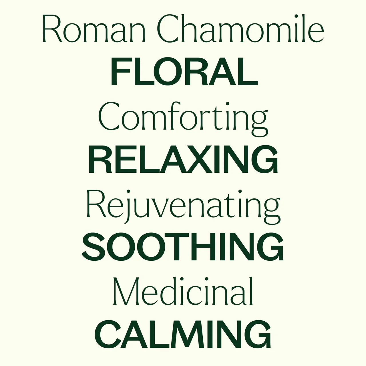 plant-therapy---roman-chamomile-3.webp