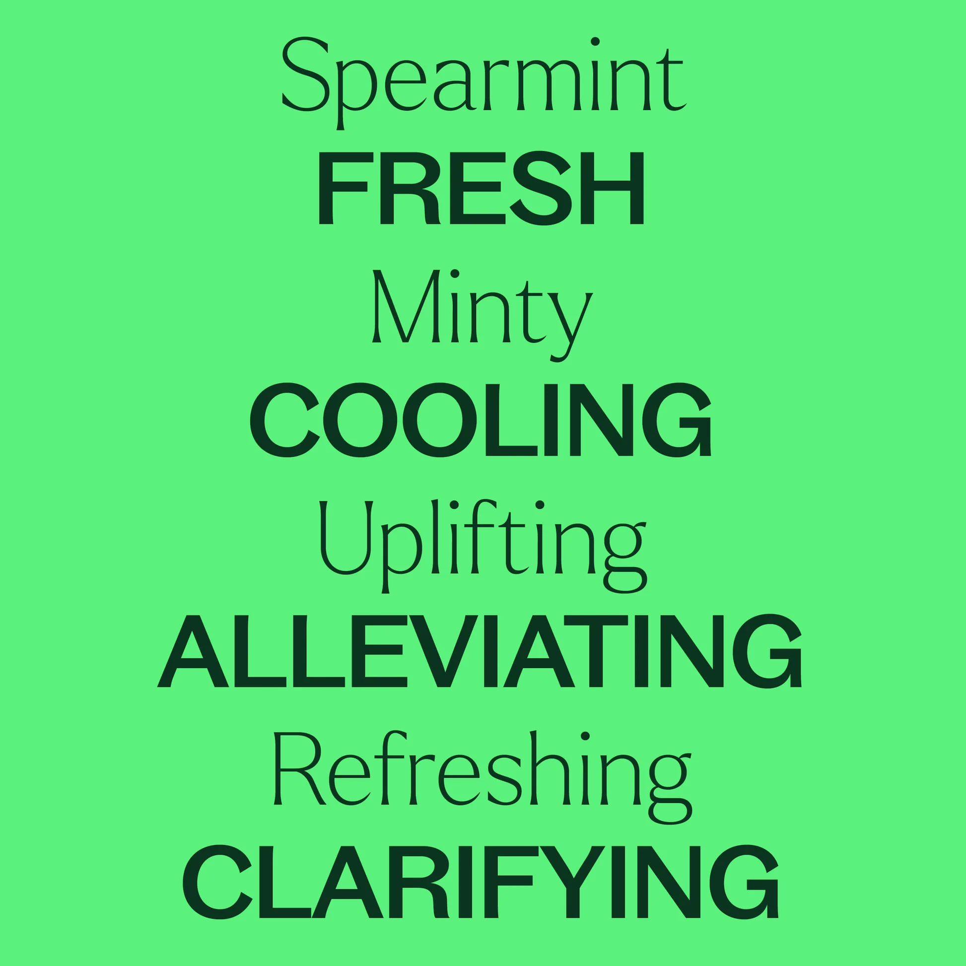 plant-therapy---spearmint-6.webp