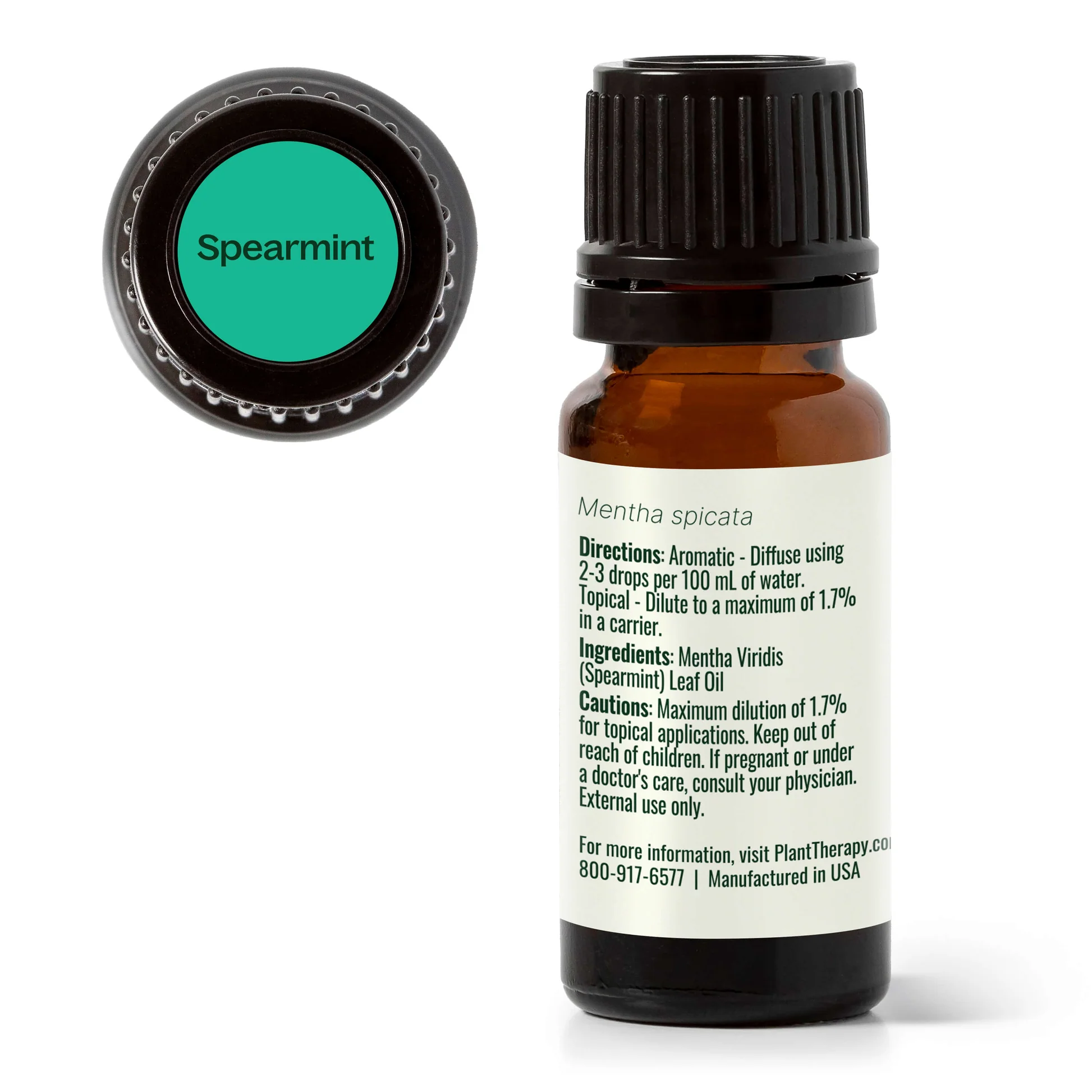 plant-therapy---spearmint-7.webp
