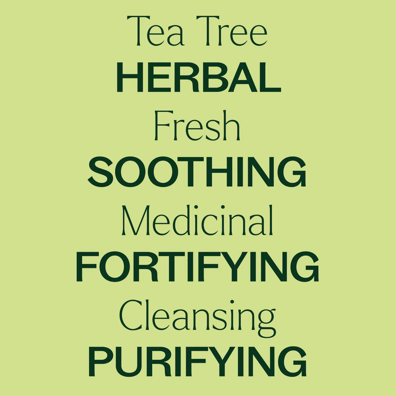 plant-therapy---tea-tree-2.webp