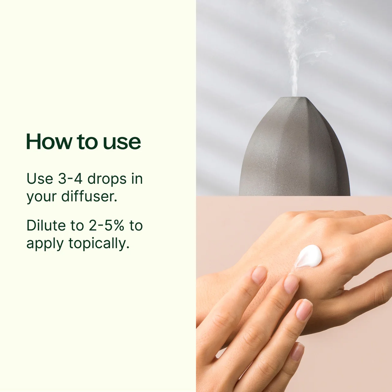 plant-therapy---tea-tree-5.webp