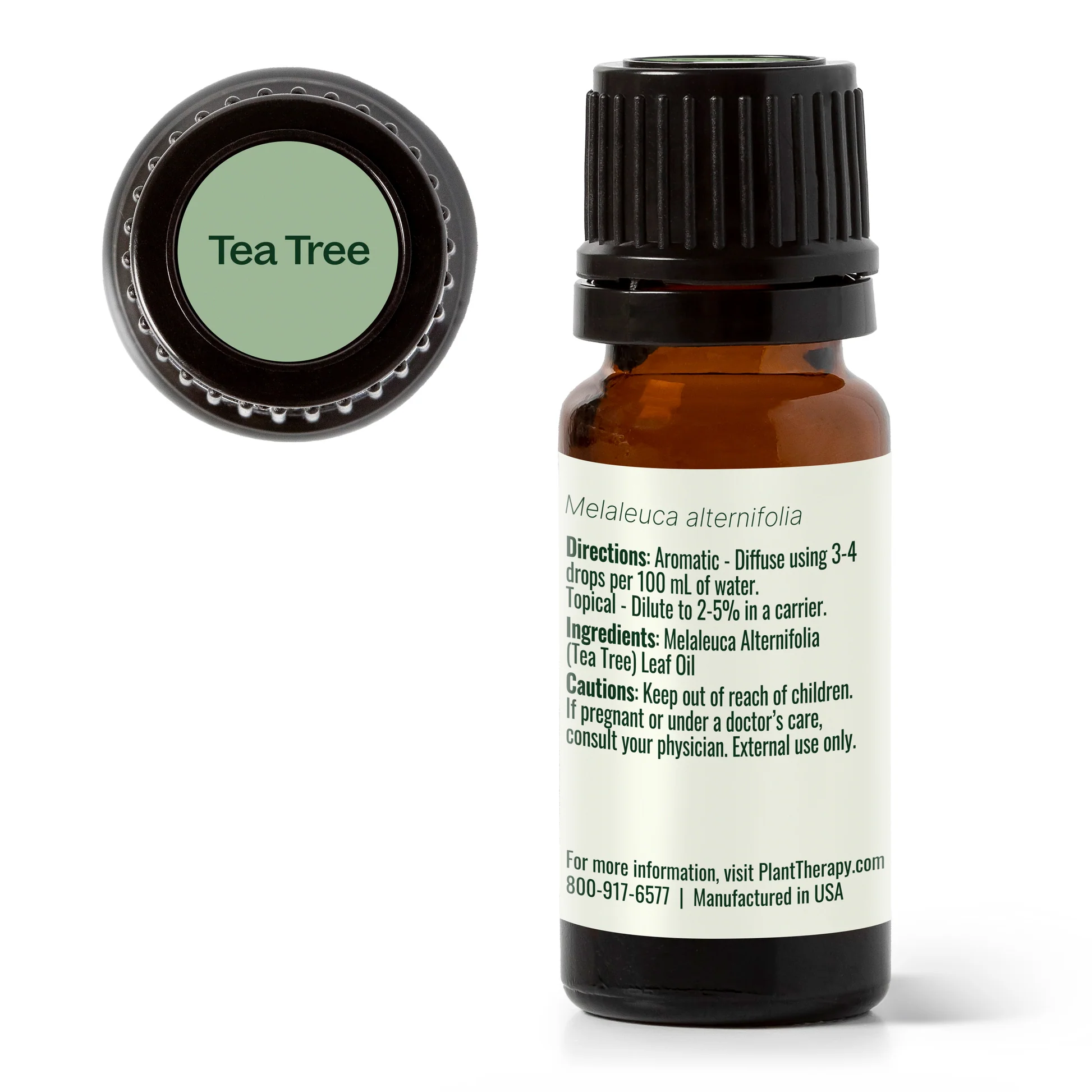 plant-therapy---tea-tree-7.webp
