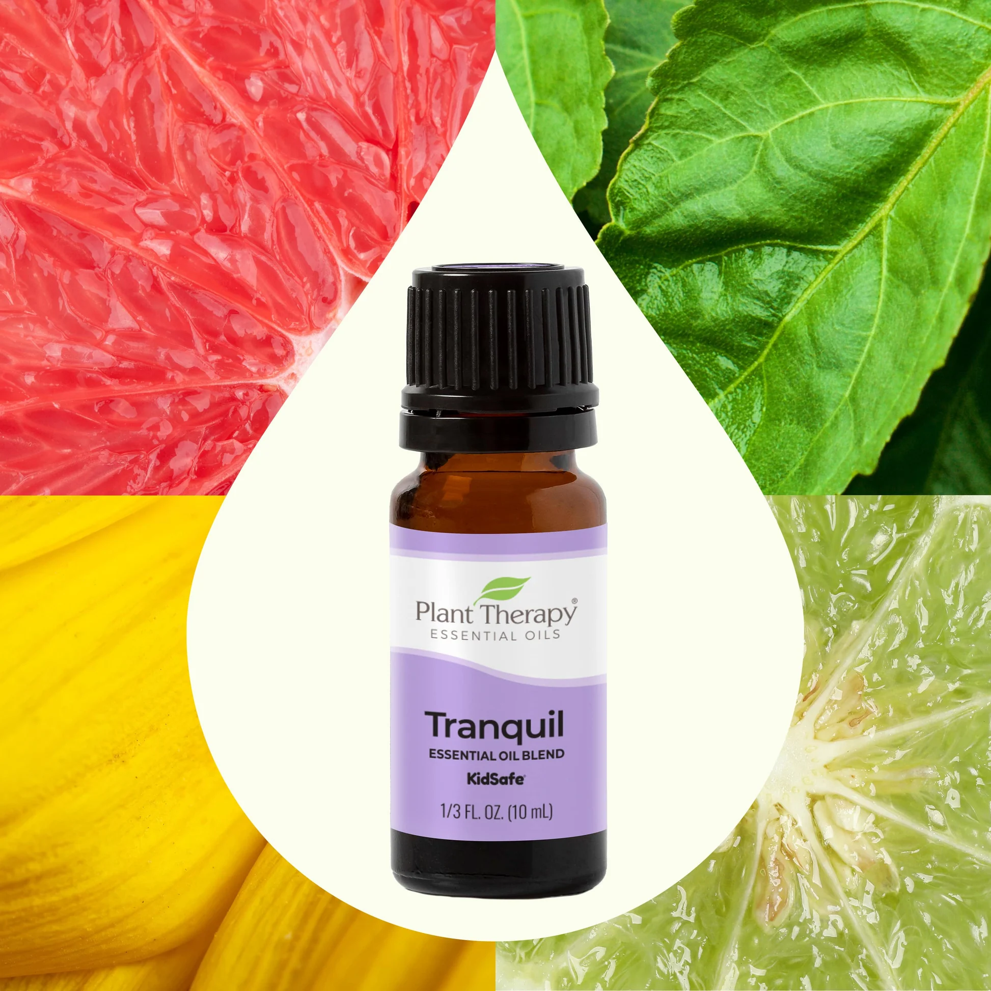 plant-therapy---tranquil-5.webp