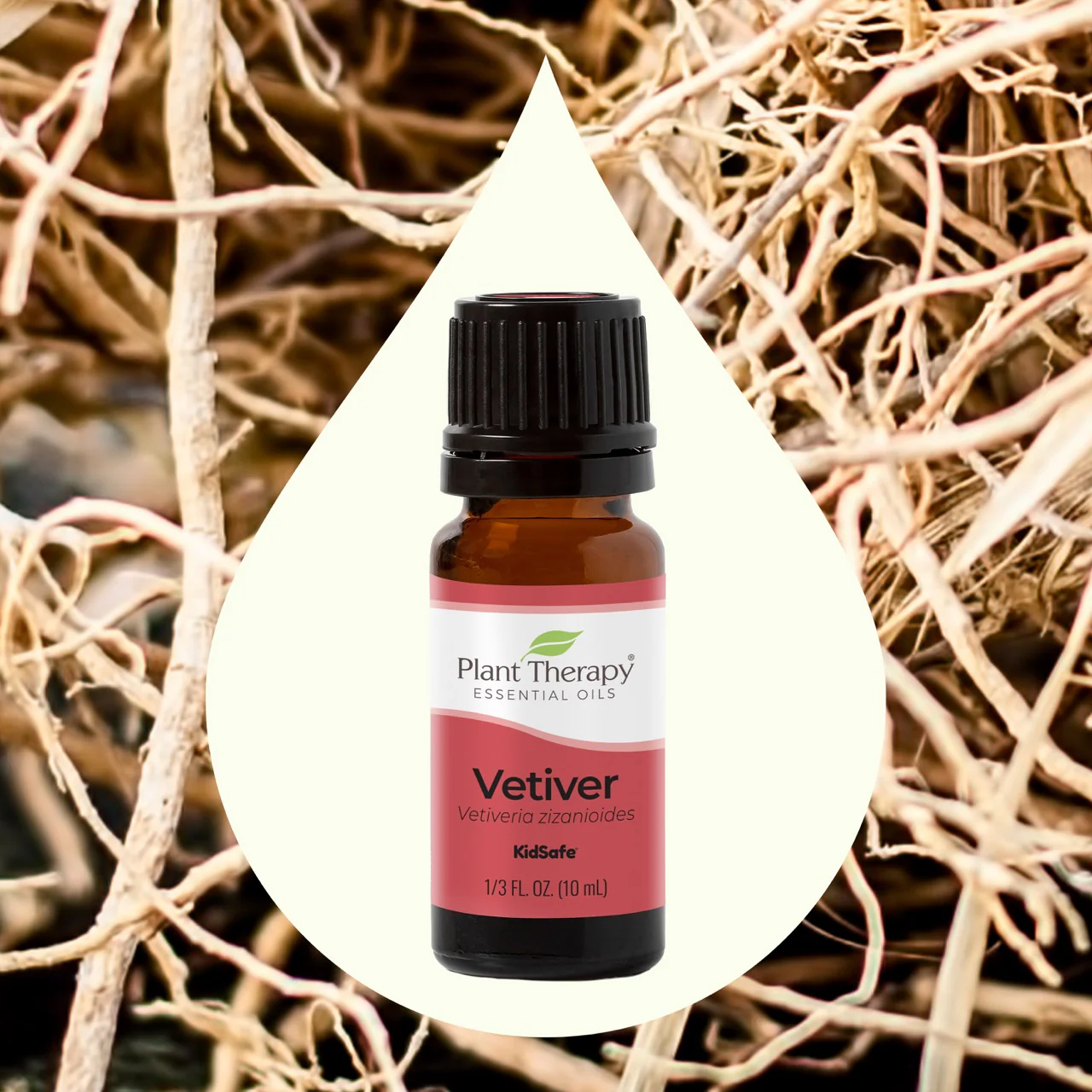 plant-therapy---vetiver-3.webp