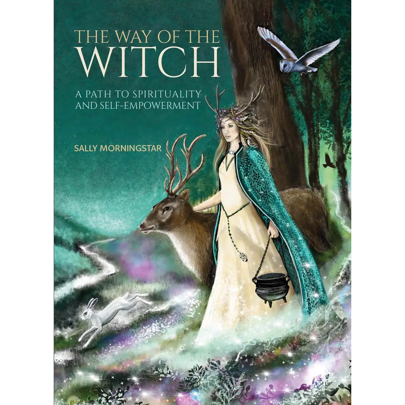 The Way Of The Witch (Hardcover, Fully Illustrated)
