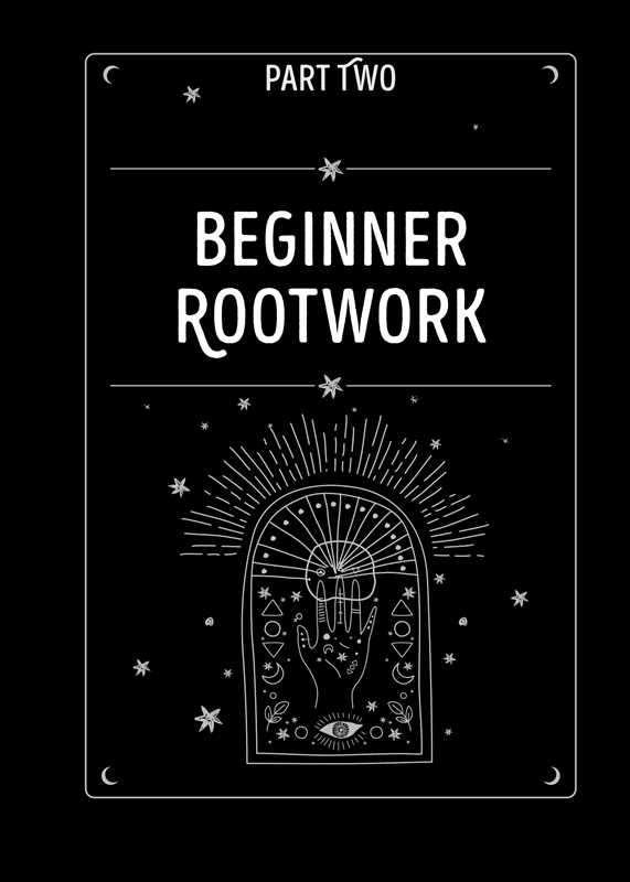 rootwork-3.png