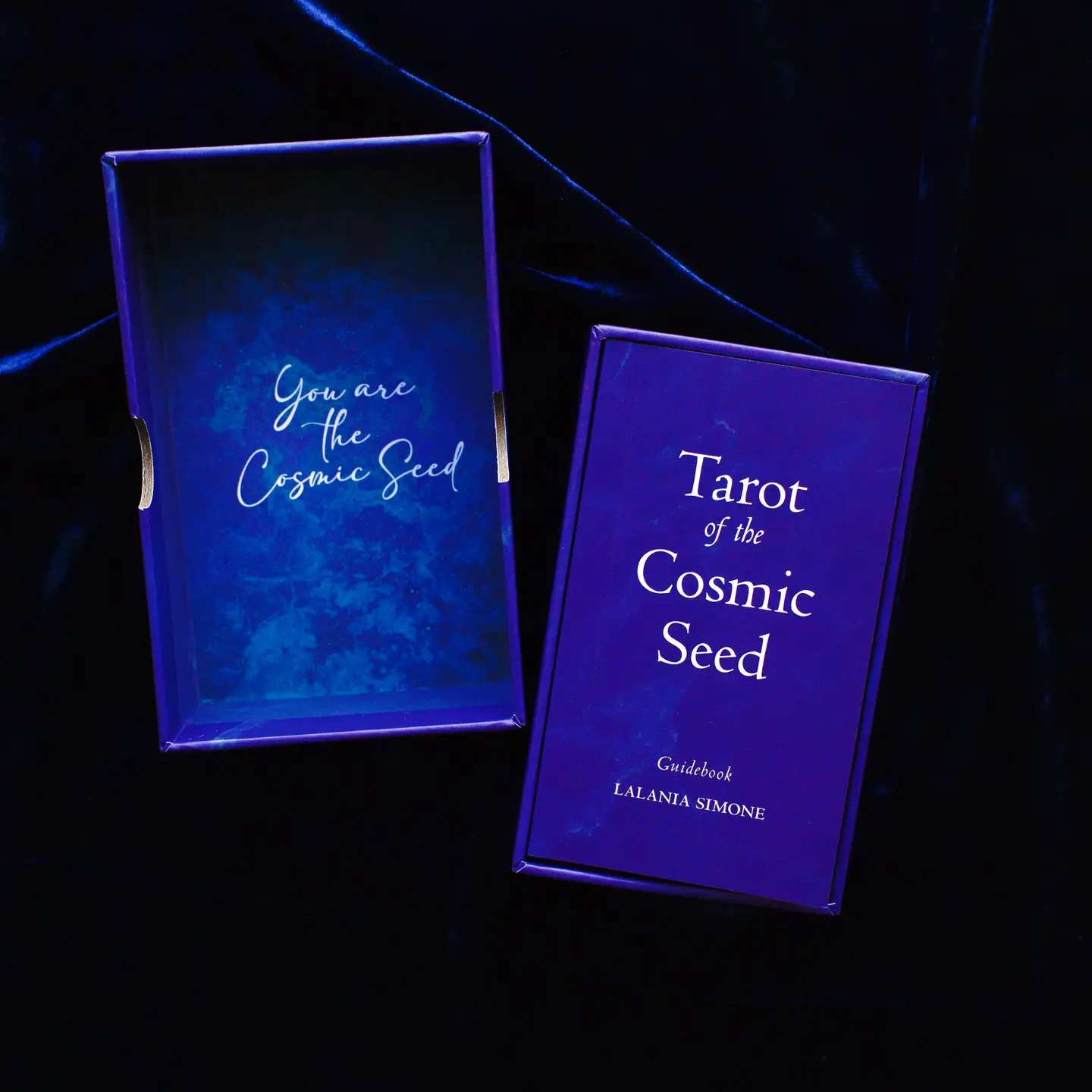 cosmic-seed-3.png