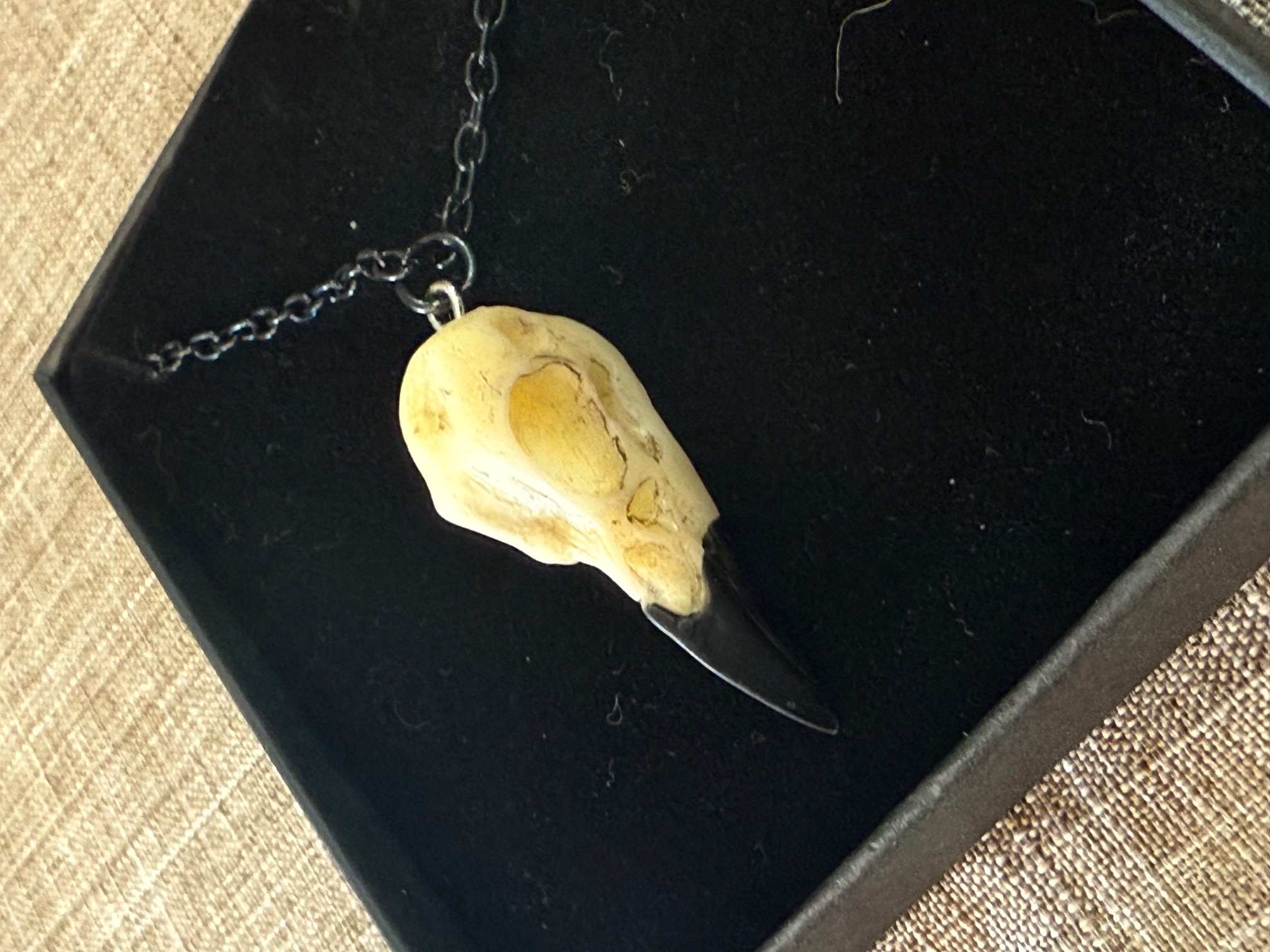 Raven Skull Necklace