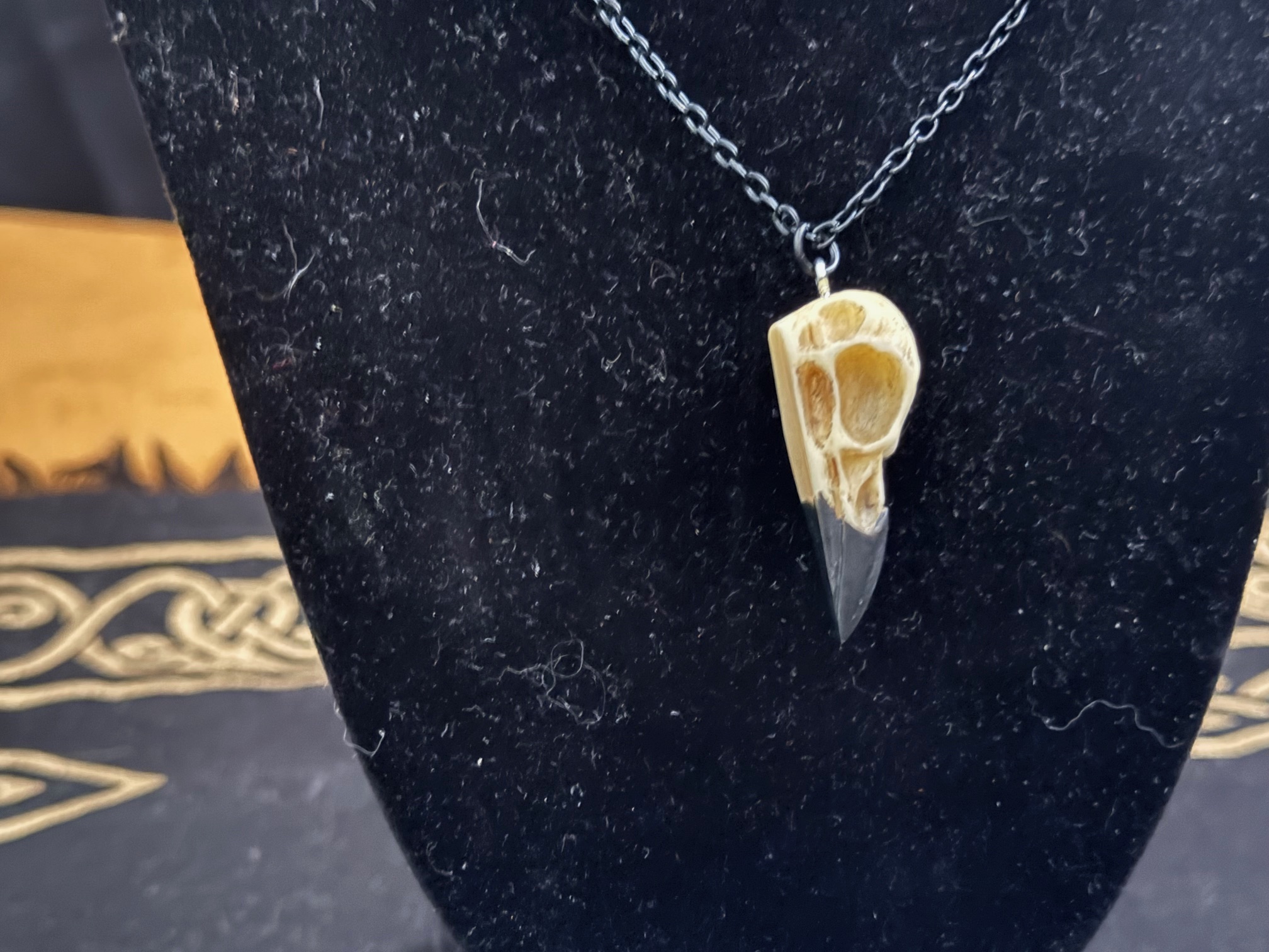 raven-skull-2.jpg